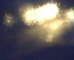 Přístaviště Petrov