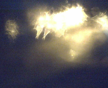 Snímek 5.11.2025 v 00:30