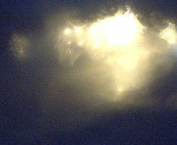 Přístaviště Petrov