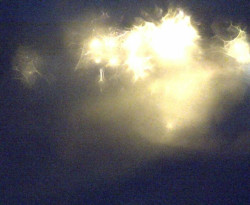 Přístaviště Petrov