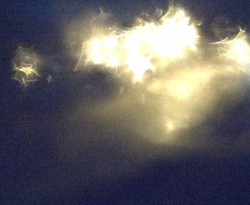 Přístaviště Petrov