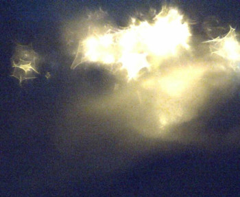 Snímek 5.11.2025 v 02:45