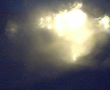 Snímek 5.11.2025 v 03:45