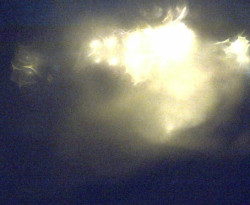 Přístaviště Petrov