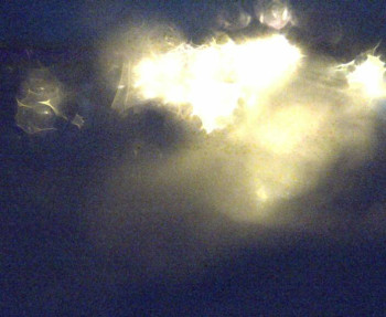 Snímek 5.11.2025 v 04:45