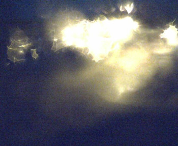 Snímek 5.11.2025 v 05:15