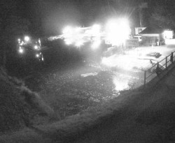 Přístaviště Petrov