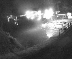 Přístaviště Petrov