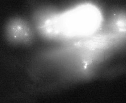 Přístaviště Petrov