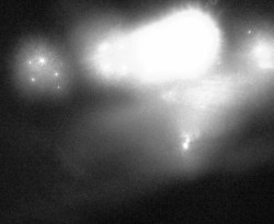 Přístaviště Petrov