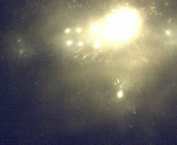 Přístaviště Petrov