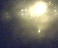 Přístaviště Petrov