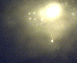 Přístaviště Petrov