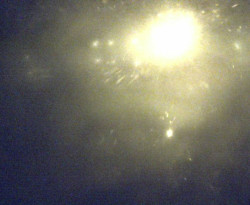 Přístaviště Petrov