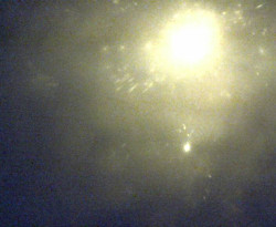 Přístaviště Petrov