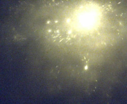 Přístaviště Petrov