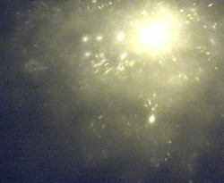 Přístaviště Petrov