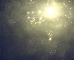 Přístaviště Petrov