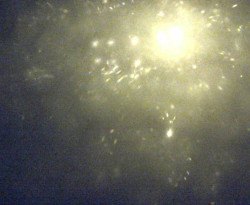 Přístaviště Petrov