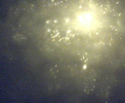 Přístaviště Petrov