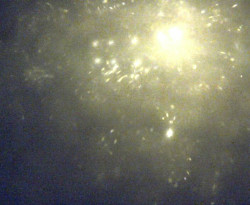 Přístaviště Petrov