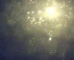 Přístaviště Petrov