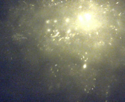 Přístaviště Petrov