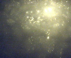 Přístaviště Petrov