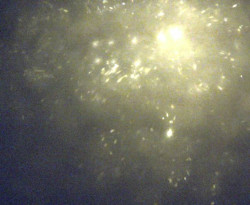 Přístaviště Petrov