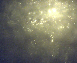 Přístaviště Petrov