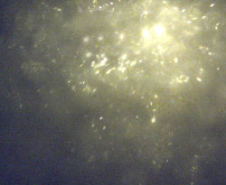 Přístaviště Petrov