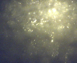 Přístaviště Petrov