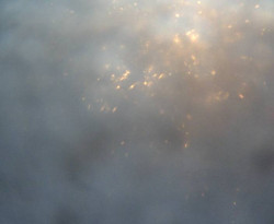 Přístaviště Petrov