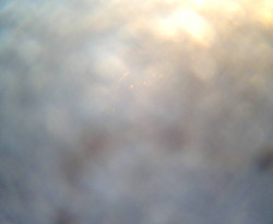 Přístaviště Petrov