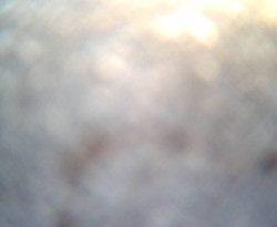 Přístaviště Petrov