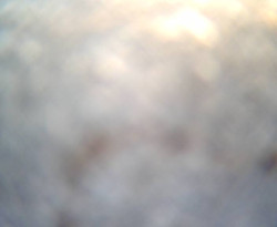 Přístaviště Petrov