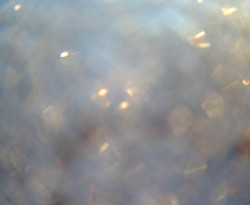 Přístaviště Petrov