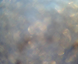 Přístaviště Petrov