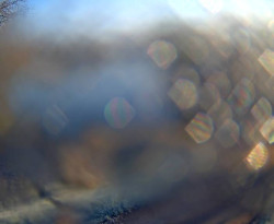 Přístaviště Petrov