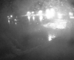 Přístaviště Petrov