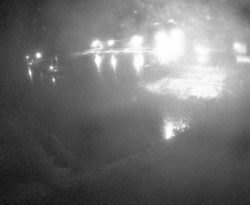 Přístaviště Petrov