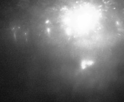 Přístaviště Petrov