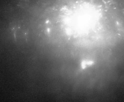 Přístaviště Petrov