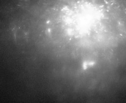 Přístaviště Petrov