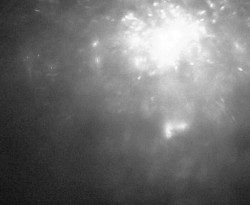 Přístaviště Petrov