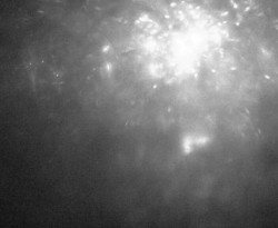 Přístaviště Petrov