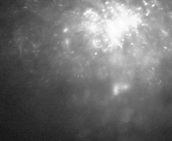 Přístaviště Petrov