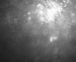 Přístaviště Petrov