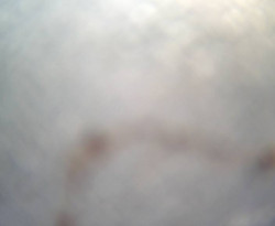 Přístaviště Petrov