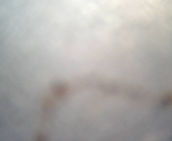 Přístaviště Petrov